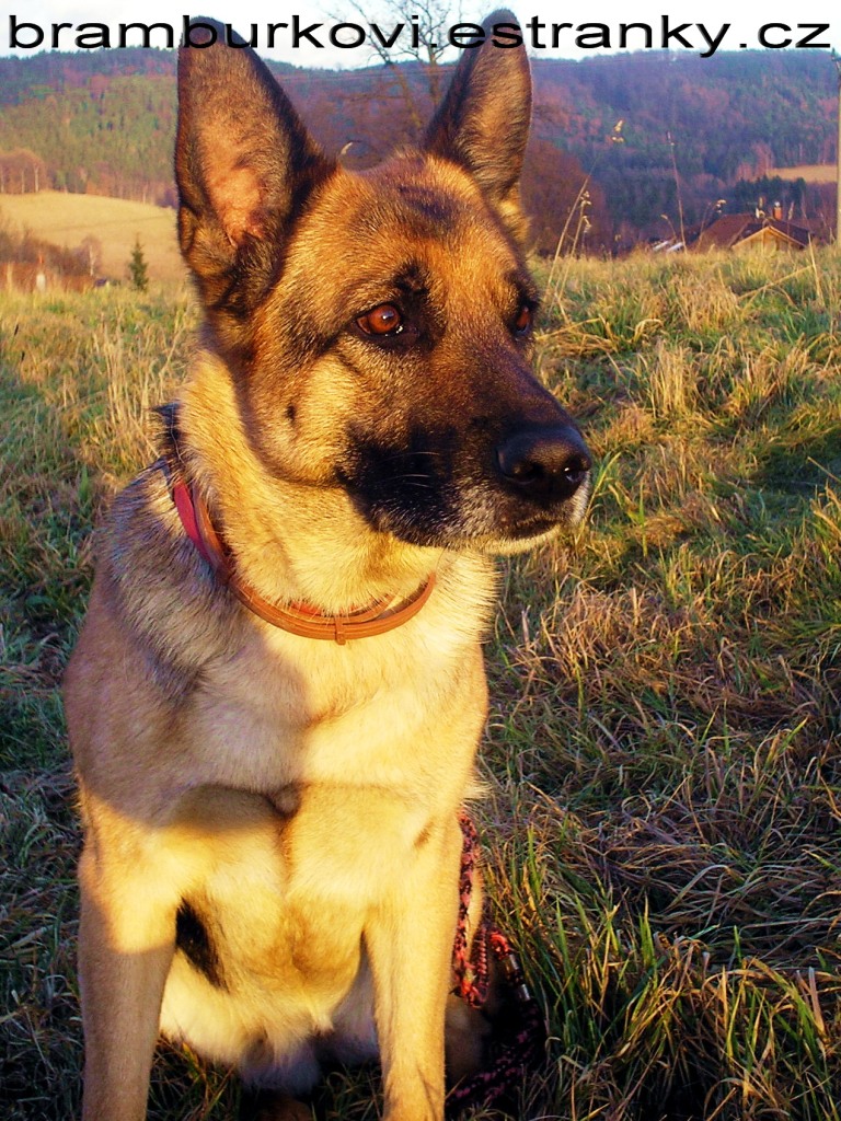 Rita 0182.jpg